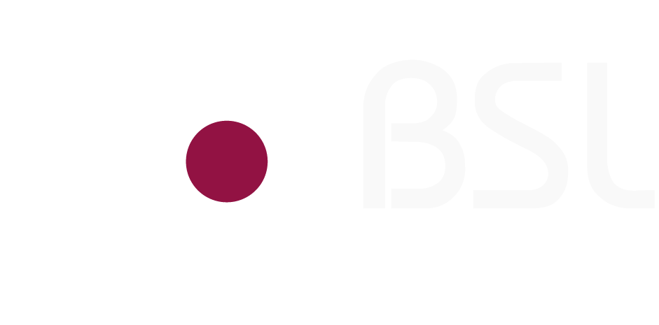 logo de bsl academy